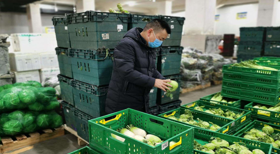 合肥生鲜大规模配送平台 – 食品行业的新变革