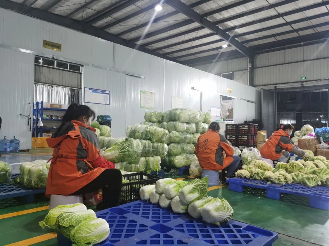 观麦独家策划 | 致敬每一位不平凡的食配人！
