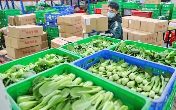 蔬菜配送公司经营分四个板块